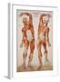 American Frohse Anatomical Wallcharts, Plate 2-null-Framed Giclee Print