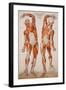 American Frohse Anatomical Wallcharts, Plate 2-null-Framed Giclee Print