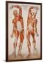 American Frohse Anatomical Wallcharts, Plate 2-null-Framed Giclee Print