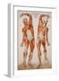 American Frohse Anatomical Wallcharts, Plate 2-null-Framed Giclee Print