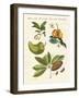 American Fruits-null-Framed Giclee Print