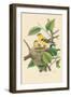 American Goldfinch Nest and Eggs-null-Framed Art Print