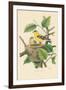 American Goldfinch Nest and Eggs-null-Framed Art Print