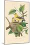 American Goldfinch Nest and Eggs-null-Mounted Art Print