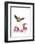American Goldfinch-Patricia Savage-Framed Art Print