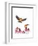 American Goldfinch-Patricia Savage-Framed Art Print