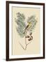 American Goldfinch-Mark Catesby-Framed Art Print