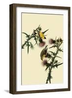 American Goldfinches-John James Audubon-Framed Giclee Print