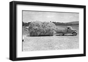 American Hay Farmer-null-Framed Giclee Print