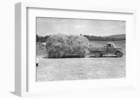 American Hay Farmer-null-Framed Giclee Print