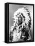 American Horse, Oglala Lakota Indian Chief-Science Source-Framed Stretched Canvas