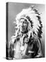 American Horse, Oglala Lakota Indian Chief-Science Source-Stretched Canvas