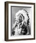 American Horse, Oglala Lakota Indian Chief-Science Source-Framed Giclee Print