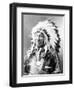 American Horse, Oglala Lakota Indian Chief-Science Source-Framed Giclee Print