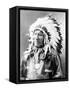 American Horse, Oglala Lakota Indian Chief-Science Source-Framed Stretched Canvas