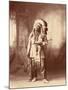 American Horse, Oglala Lakota Indian Chief-Science Source-Mounted Giclee Print