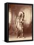 American Horse, Oglala Lakota Indian Chief-Science Source-Framed Stretched Canvas