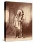 American Horse, Oglala Lakota Indian Chief-Science Source-Stretched Canvas