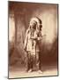 American Horse, Oglala Lakota Indian Chief-Science Source-Mounted Giclee Print