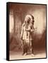 American Horse, Oglala Lakota Indian Chief-Science Source-Framed Stretched Canvas