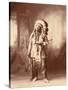 American Horse, Oglala Lakota Indian Chief-Science Source-Stretched Canvas