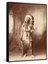 American Horse, Oglala Lakota Indian Chief-Science Source-Framed Stretched Canvas