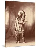 American Horse, Oglala Lakota Indian Chief-Science Source-Stretched Canvas