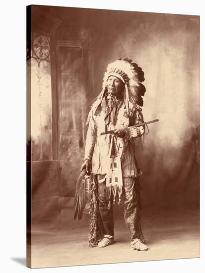 American Horse, Oglala Lakota Indian Chief-Science Source-Stretched Canvas