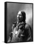 American Horse, Oglala Lakota Indian Chief-Science Source-Framed Stretched Canvas