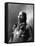 American Horse, Oglala Lakota Indian Chief-Science Source-Framed Stretched Canvas