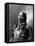 American Horse, Oglala Lakota Indian Chief-Science Source-Framed Stretched Canvas