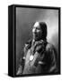 American Horse, Oglala Lakota Indian Chief-Science Source-Framed Stretched Canvas