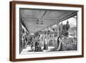 Brown Frame
