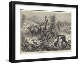 American Husbandry, Gathering Pumpkins and Husking Maize-null-Framed Giclee Print