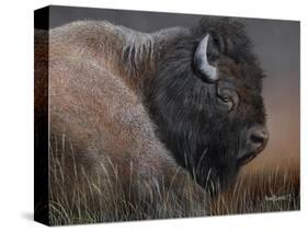 American Icon- Bison-Kevin Daniel-Stretched Canvas