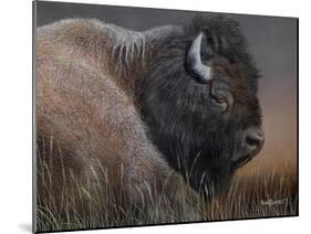 American Icon- Bison-Kevin Daniel-Mounted Art Print