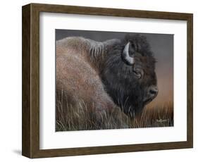 American Icon- Bison-Kevin Daniel-Framed Art Print