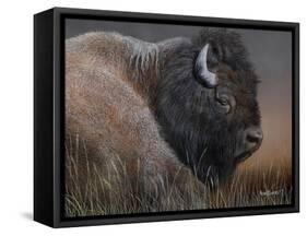 American Icon- Bison-Kevin Daniel-Framed Stretched Canvas