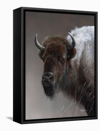 American Icon- Buffalo-Kevin Daniel-Framed Stretched Canvas