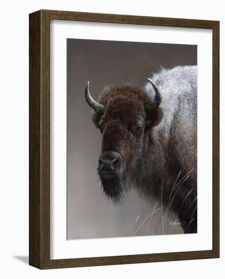 American Icon- Buffalo-Kevin Daniel-Framed Art Print
