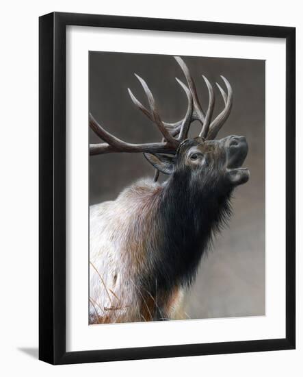 American Icon- Elk-Kevin Daniel-Framed Art Print