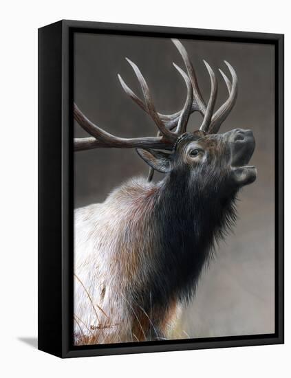 American Icon- Elk-Kevin Daniel-Framed Stretched Canvas