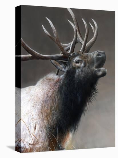 American Icon- Elk-Kevin Daniel-Stretched Canvas