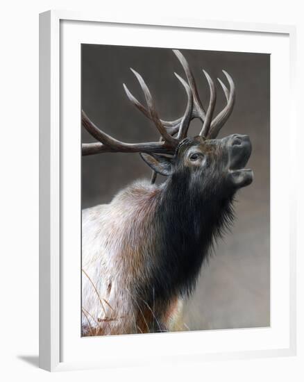 American Icon- Elk-Kevin Daniel-Framed Art Print