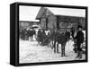 American Infantry Near Arkhangel, Russia, December 1918.-null-Framed Stretched Canvas