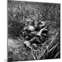 American Infantryman Terry Moore Taking Cover; Japanese Artillery Fire Explodes Nearby During-W^ Eugene Smith-Mounted Photographic Print