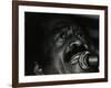 American Jump Blues Singer Jimmy Witherspoon Performing at the Bell, Codicote, Hertfordshire, 1981-Denis Williams-Framed Photographic Print