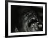 American Jump Blues Singer Jimmy Witherspoon Performing at the Bell, Codicote, Hertfordshire, 1981-Denis Williams-Framed Photographic Print