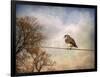 American Kestrel in Autumn-Jai Johnson-Framed Giclee Print