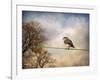 American Kestrel in Autumn-Jai Johnson-Framed Giclee Print